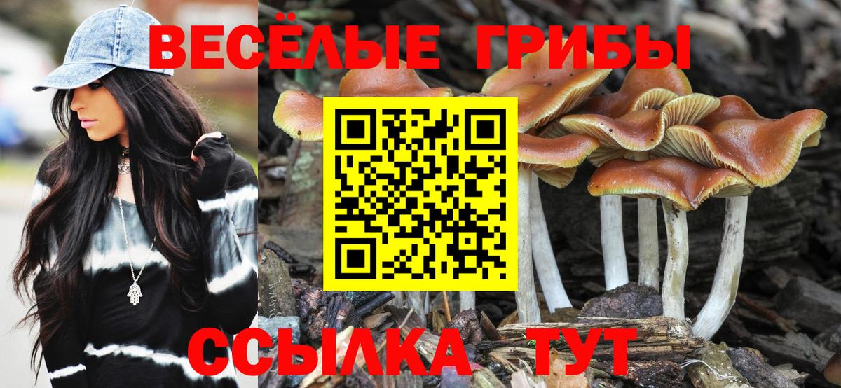 Псилоцибиновые грибы Magic Shrooms Борзя