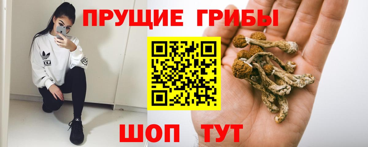 Галлюциногенные грибы GOLDEN TEACHER  Вход с VPN  Псилоцибиновые грибы Psilocybine cubensis  Борзя 