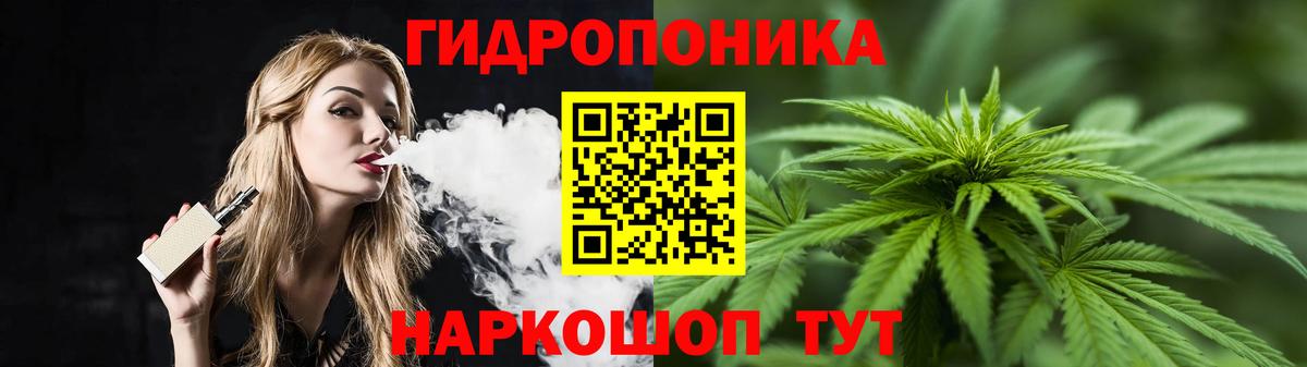 Бошки Шишки MAZAR Борзя